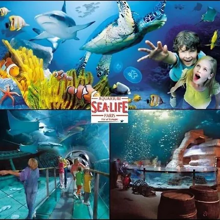 Disneyland Dream 5 - Charmante Maison 10 Pax Casa de Férias *